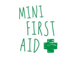 mini first aid small logo
